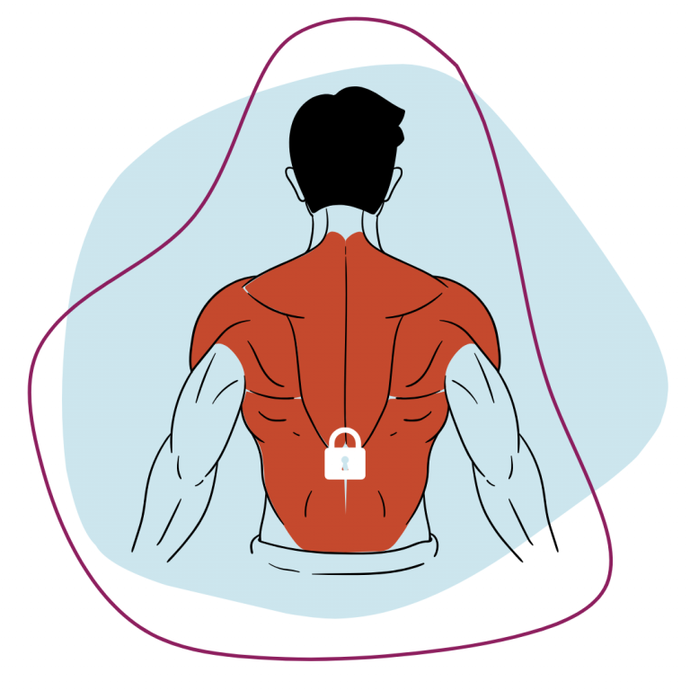 Chicken or Egg Injury: Do Tight Muscles cause Back Stiffness?